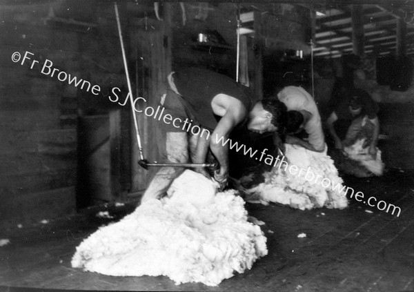 SHEARERS ON THE BENCH